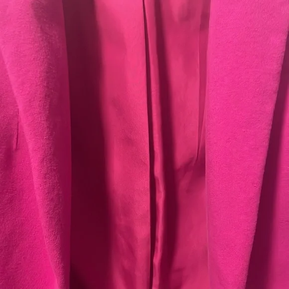 A Pink Blazer by The Limited! - Picture 6 of 16